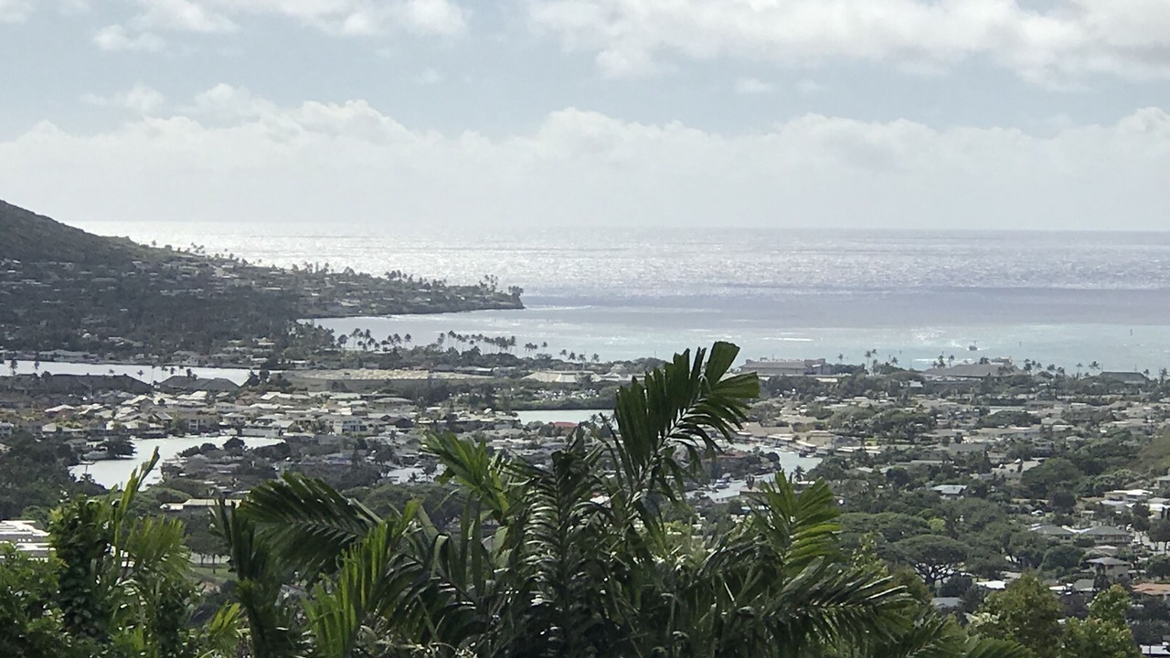 Photo of Others in Hawaii Kai