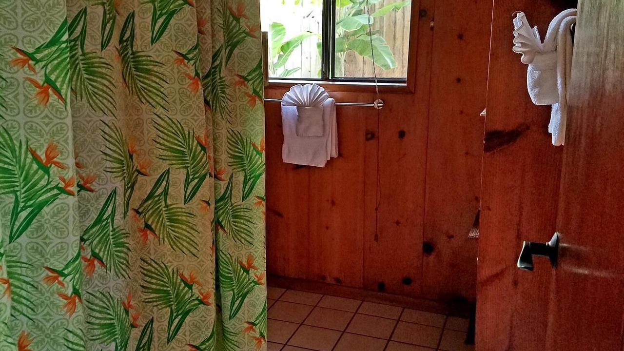 Photo of Bathroom in Pauwela