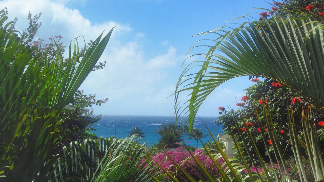 Photo of Others in Poipu