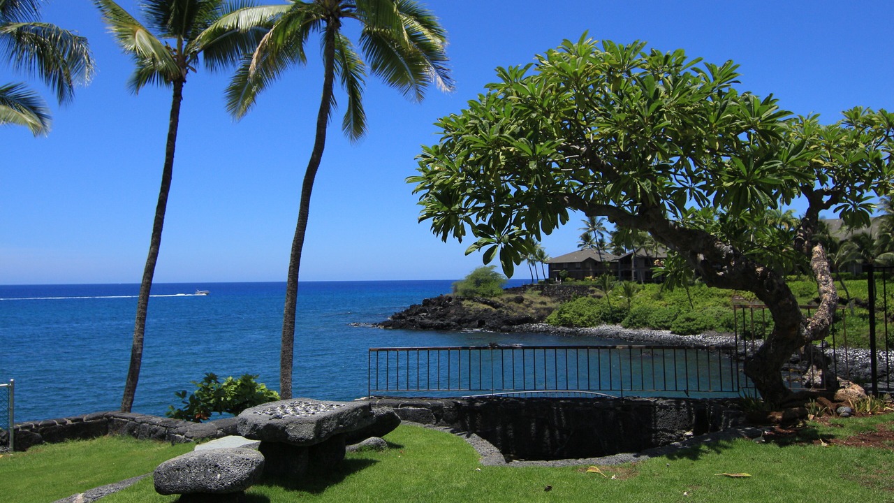 Photo of Others in Keauhou
