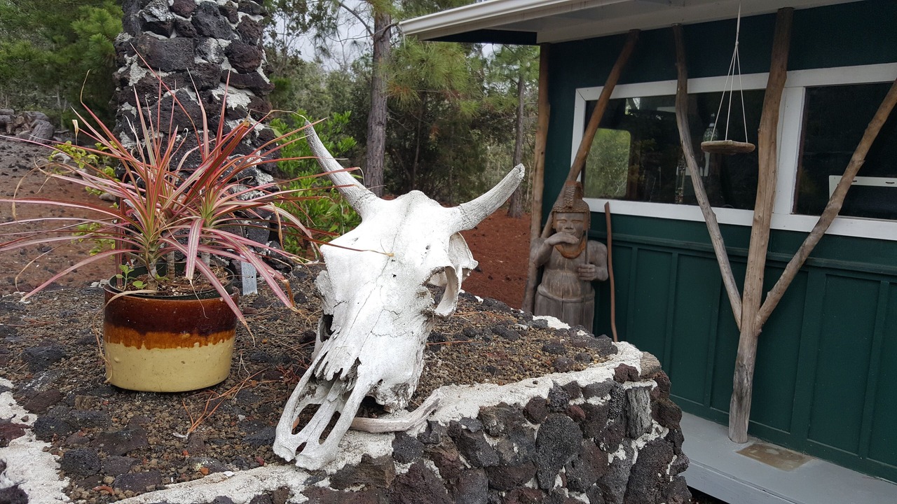 Photo of Outdoor in Ocean View