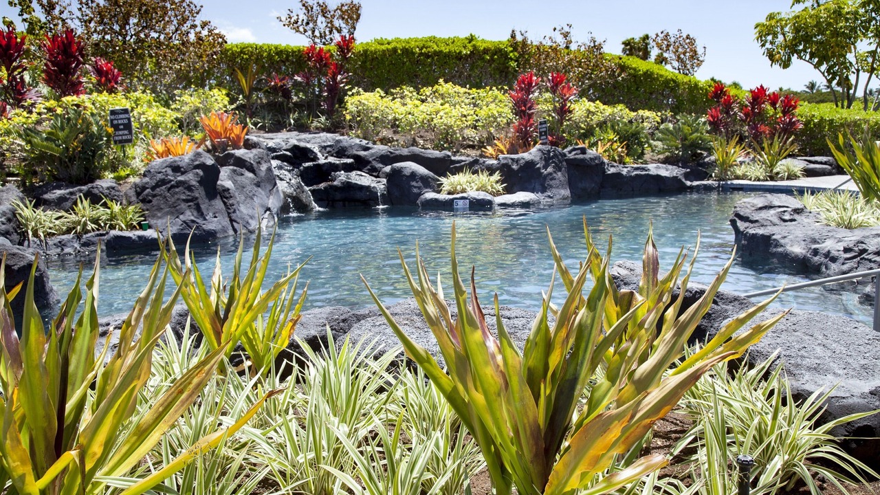 Photo of Others in Waikoloa