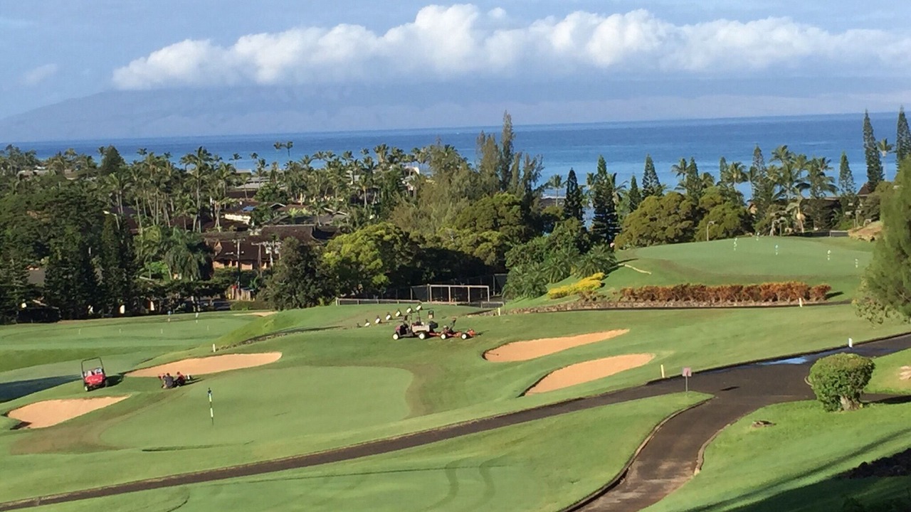 Photo of Others in Kapalua