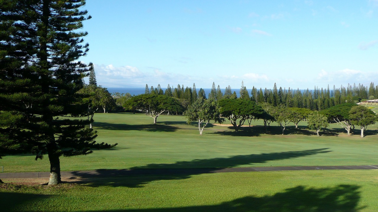 Photo of Others in Kapalua