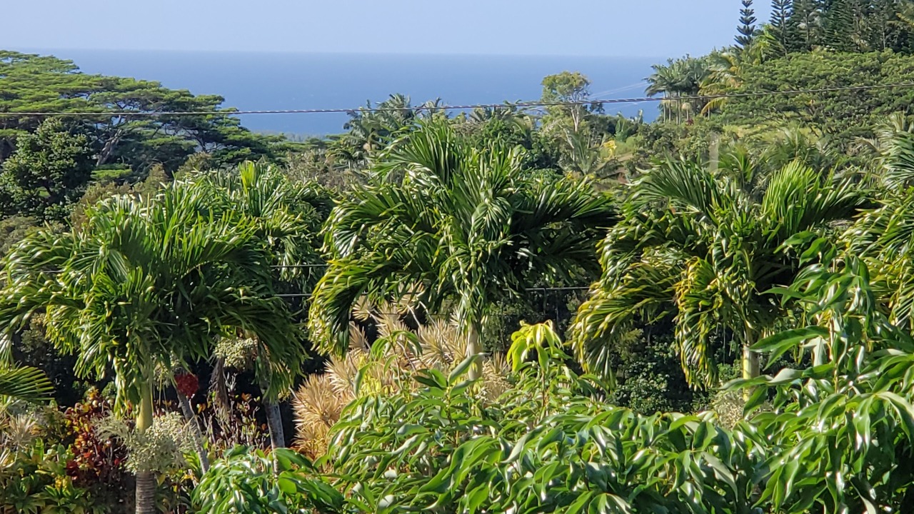 Photo of Outdoor in Pauwela