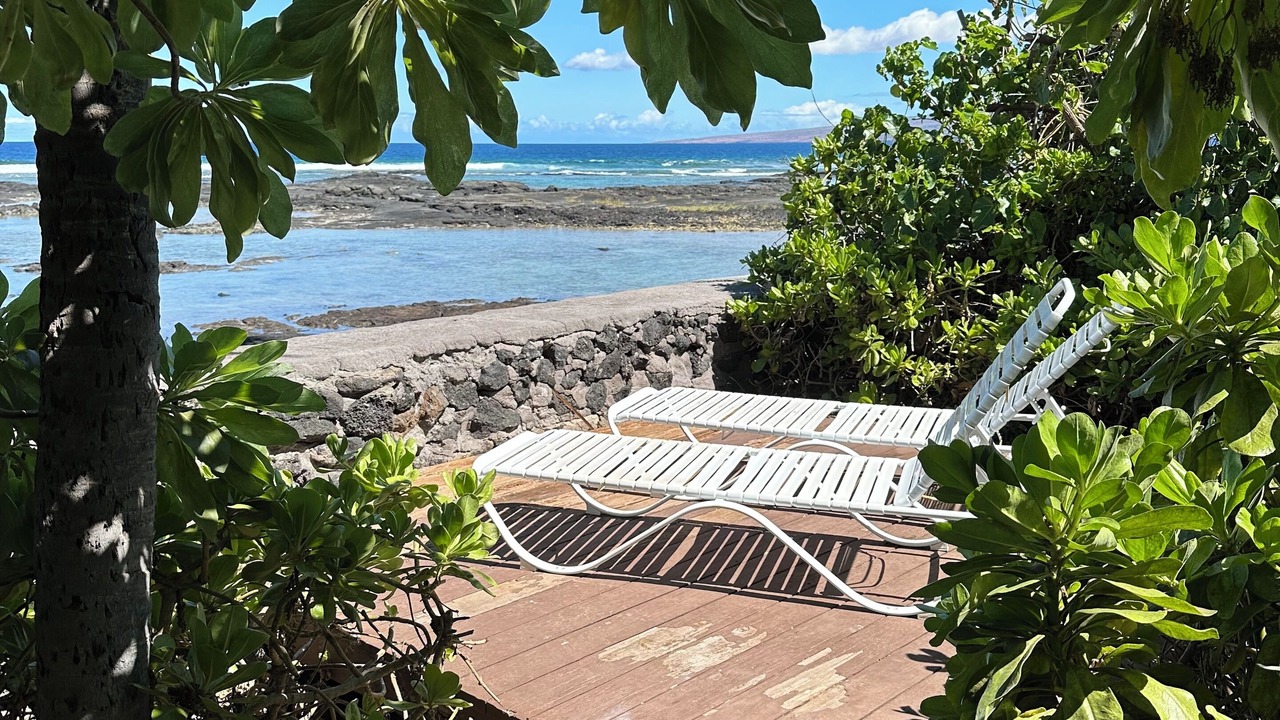 Photo of Outdoor in Kamuela