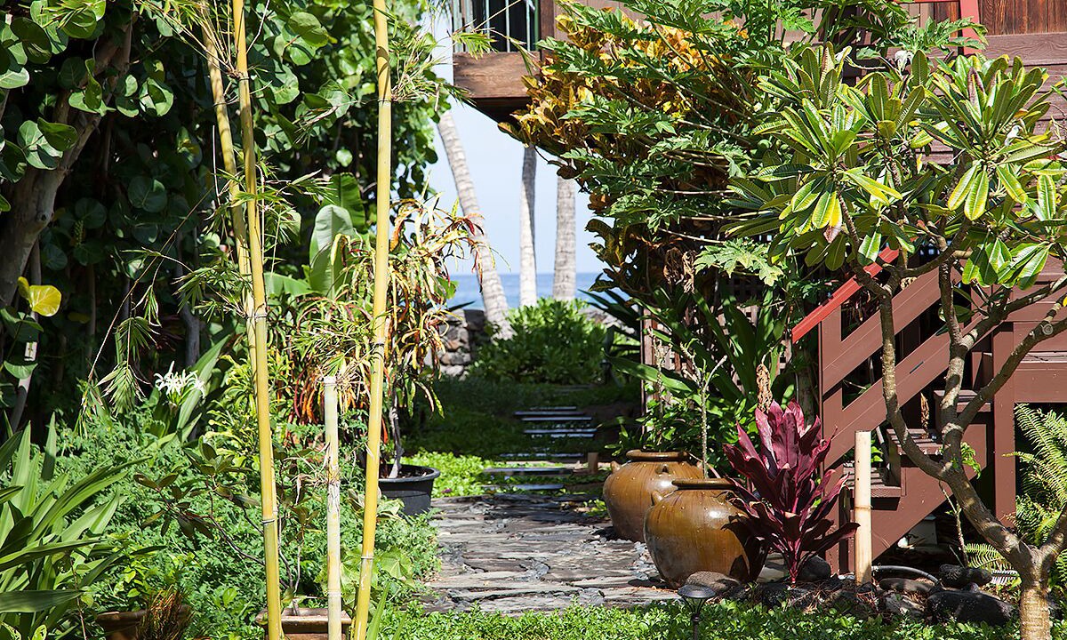 Photo of Outdoor in Kamuela