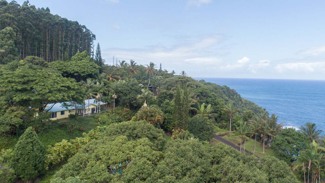 Photo of Others in Papaaloa