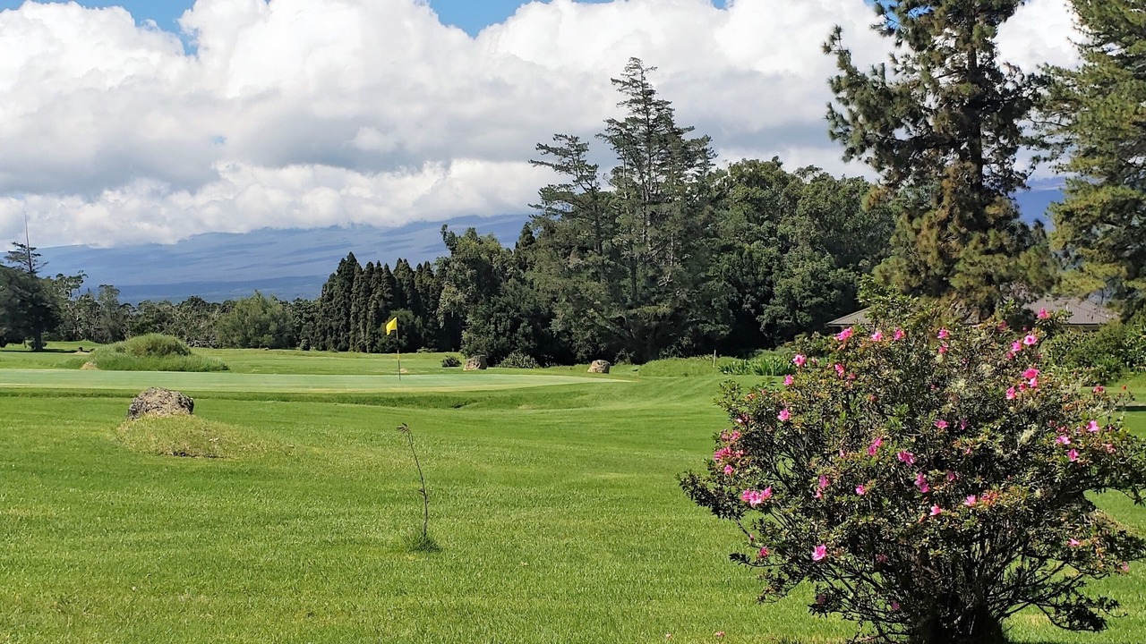 Photo of Others in Royal Hawaiian Estates