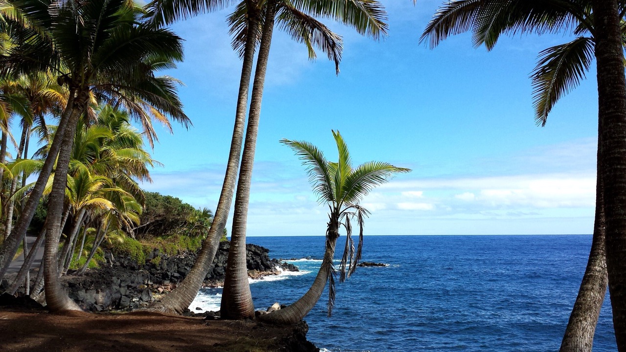 Photo of Others in Royal Hawaiian Estates