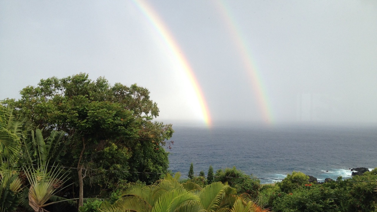 Photo of Others in Hana