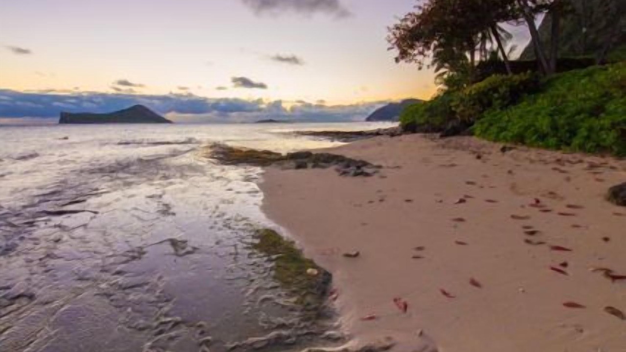 Photo of Others in Waimanalo Beach