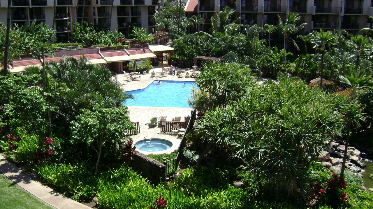 Photo of Outdoor in Kihei