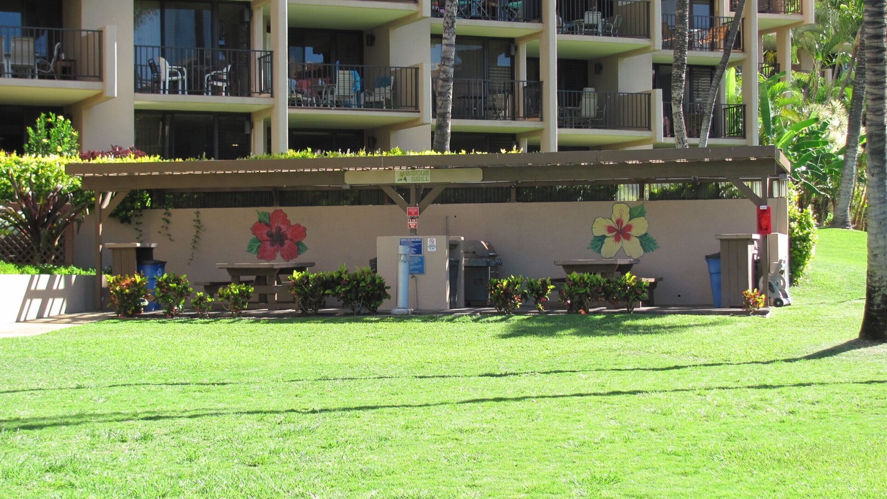 Photo of Others in Kihei