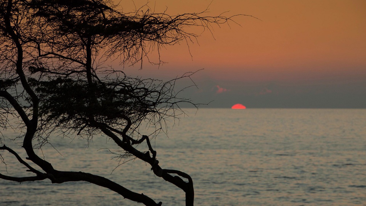 Photo of Others in Kihei