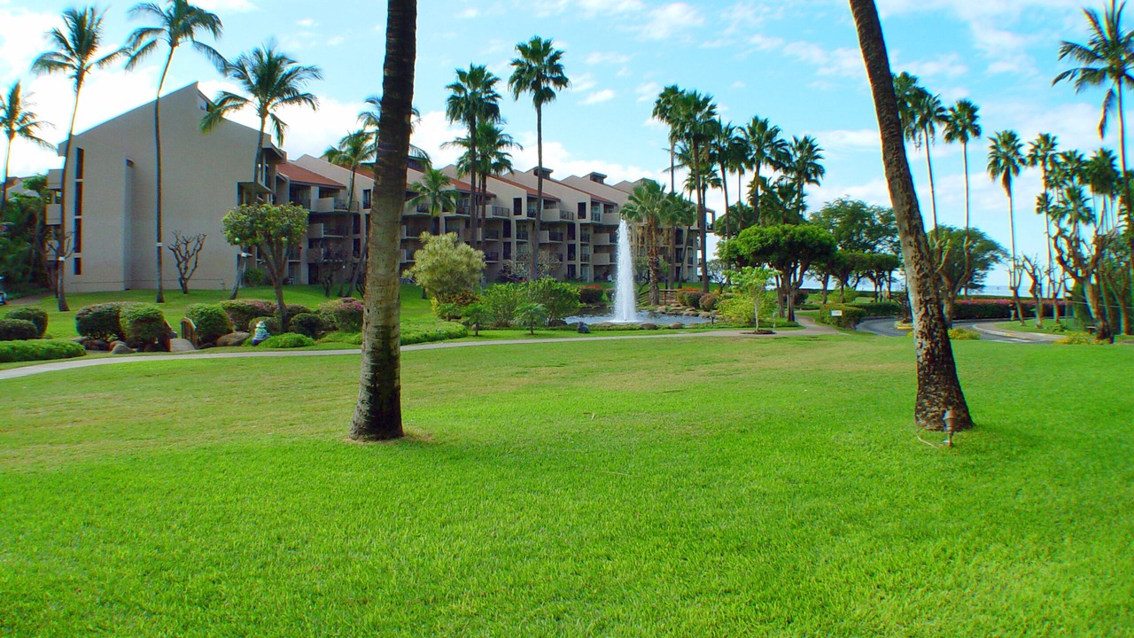 Photo of Others in Kihei