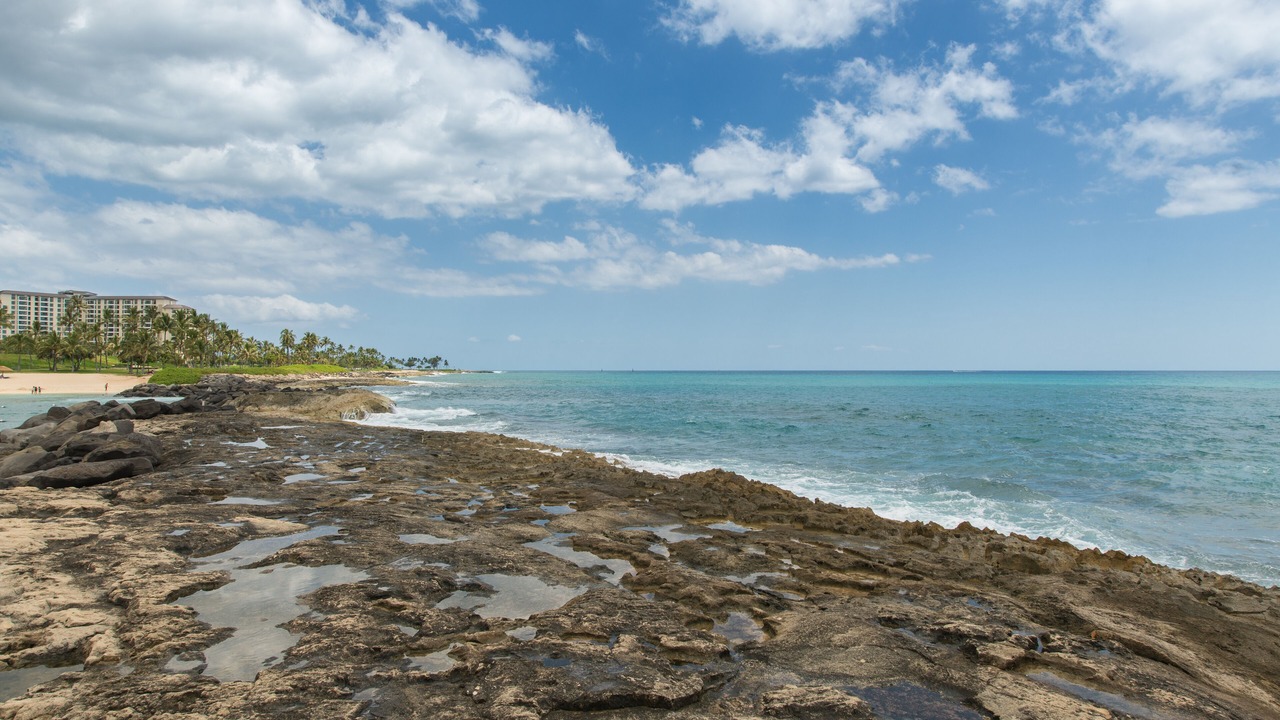 Photo of Others in Ko Olina