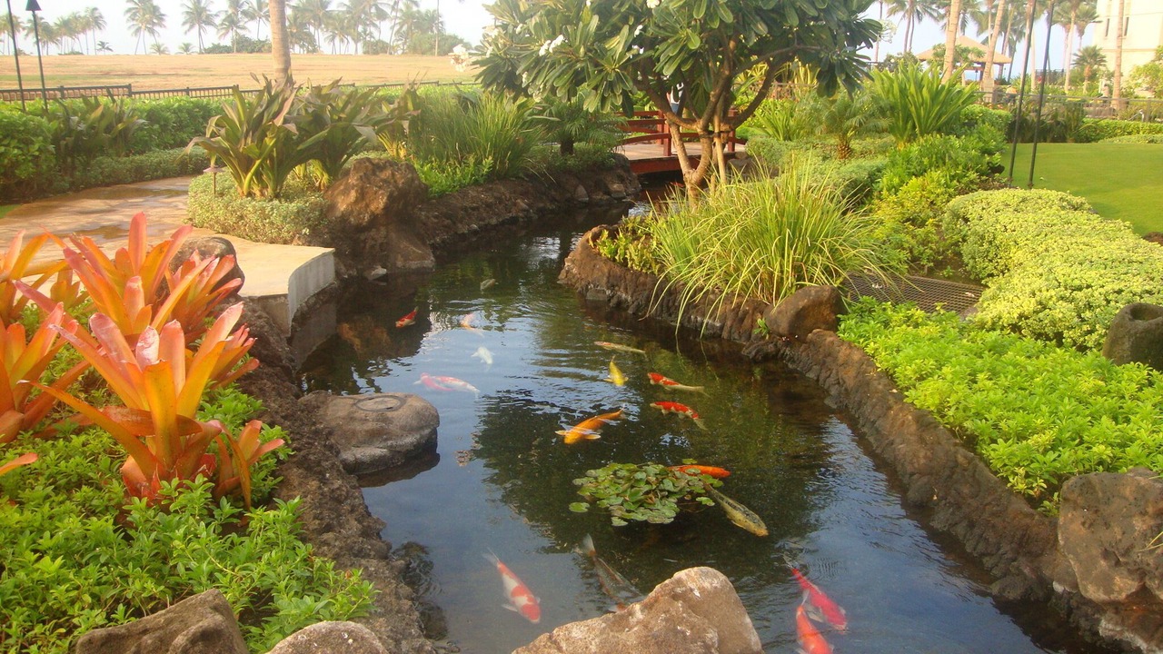 Photo of Others in Ko Olina