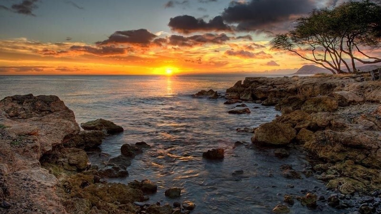 Photo of Others in Ko Olina