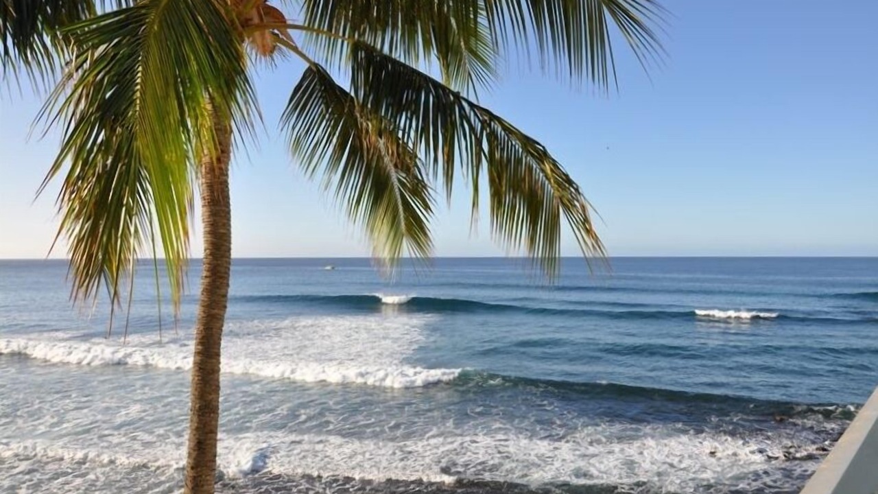 Photo of Others in Makaha