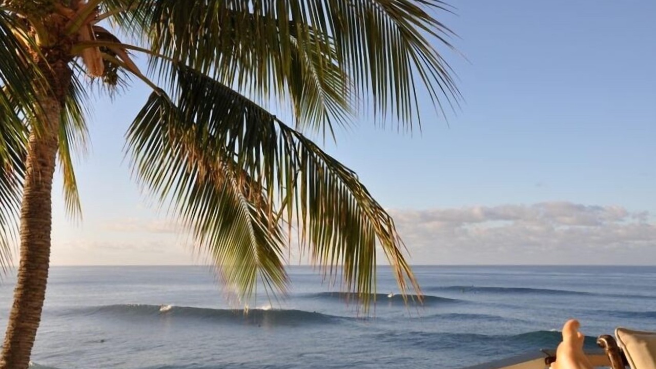 Photo of Outdoor in Makaha