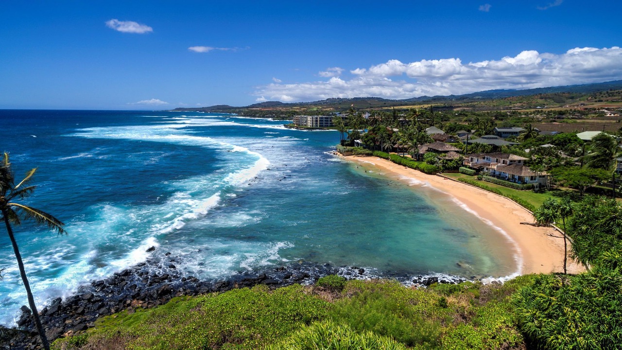 Photo of Others in Poipu