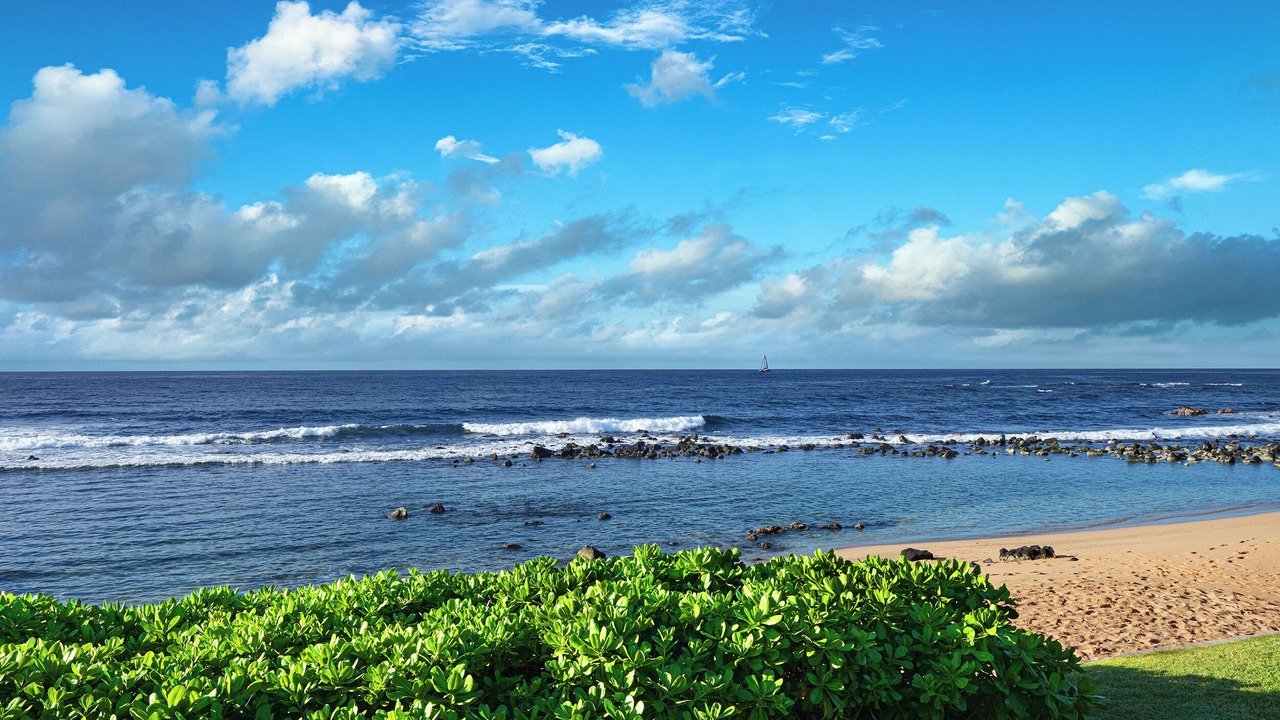 Photo of Others in Poipu