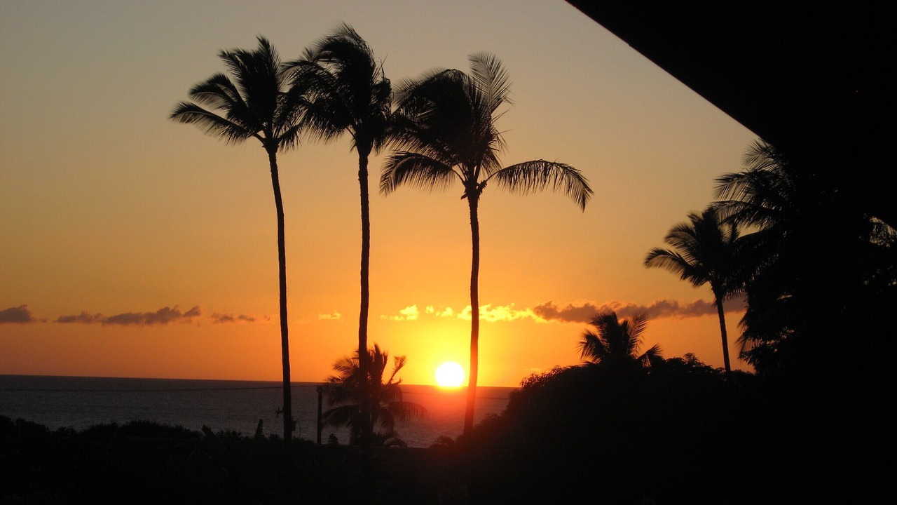 Photo of Others in Kihei