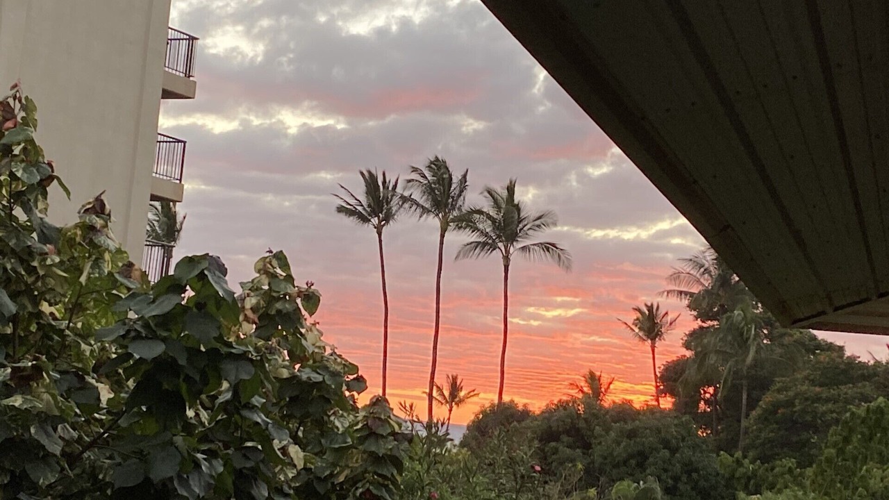 Photo of Outdoor in Kihei