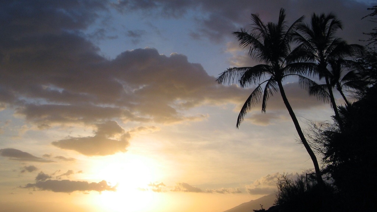Photo of Others in Kihei