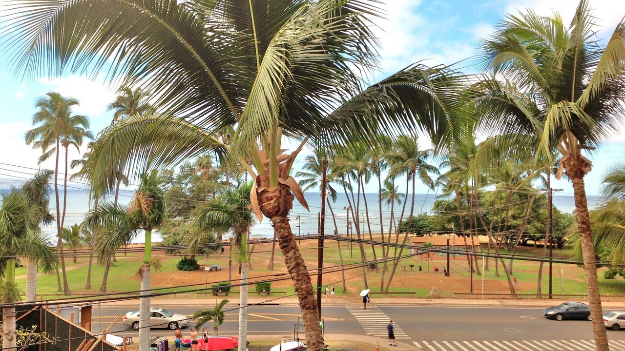 Photo of Others in Kihei