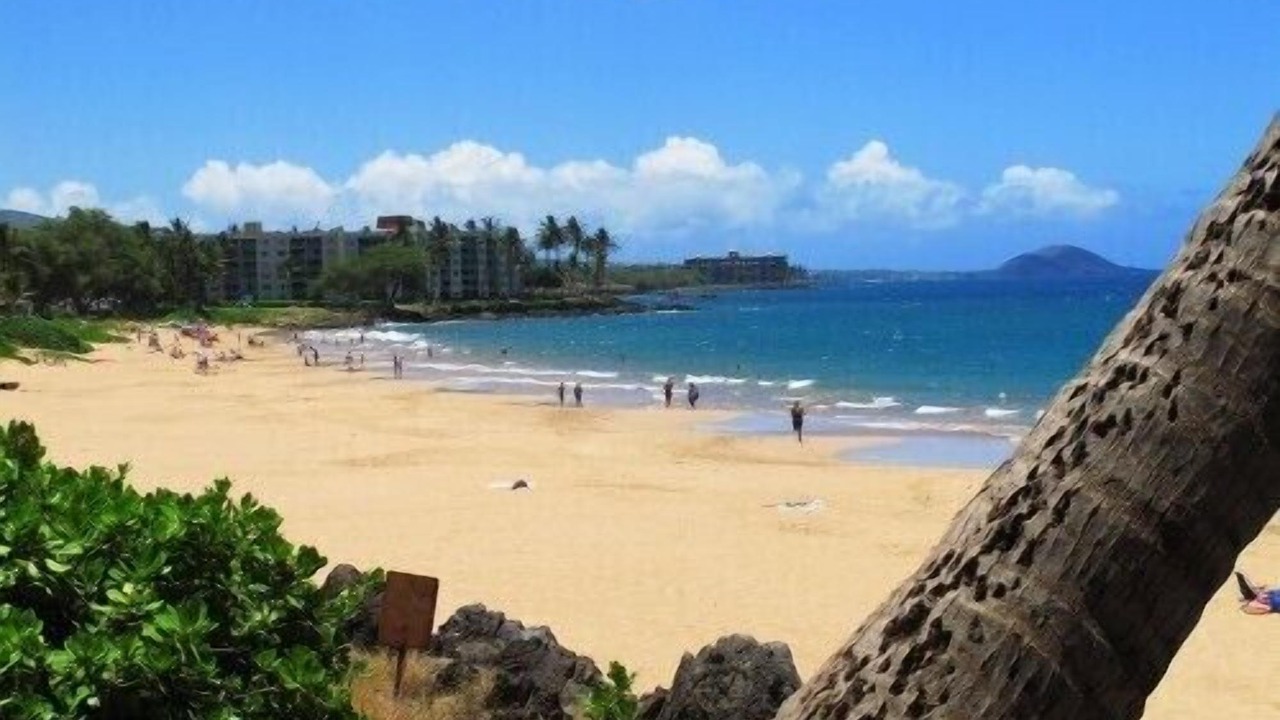 Photo of Others in Kihei