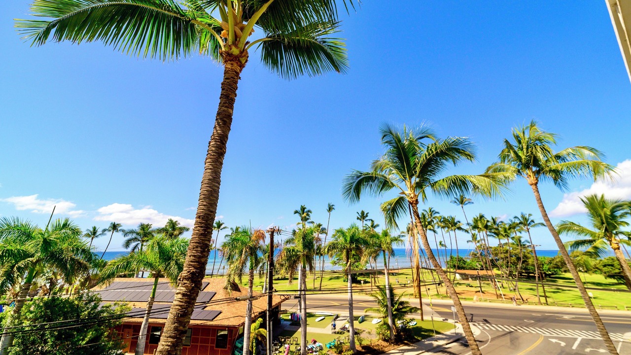 Photo of Others in Kihei