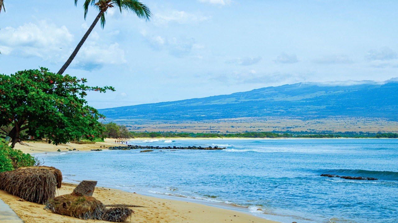 Photo of Others in Maalaea