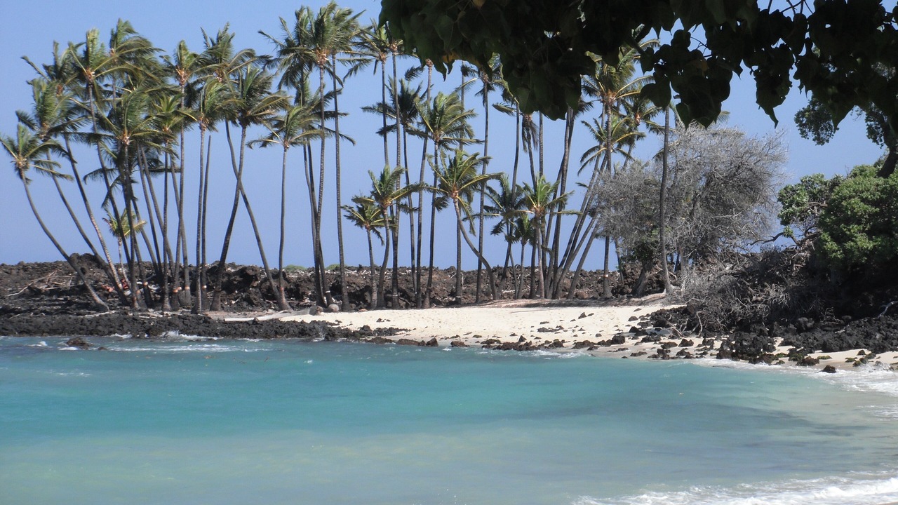 Photo of Others in Kahaluu Bay