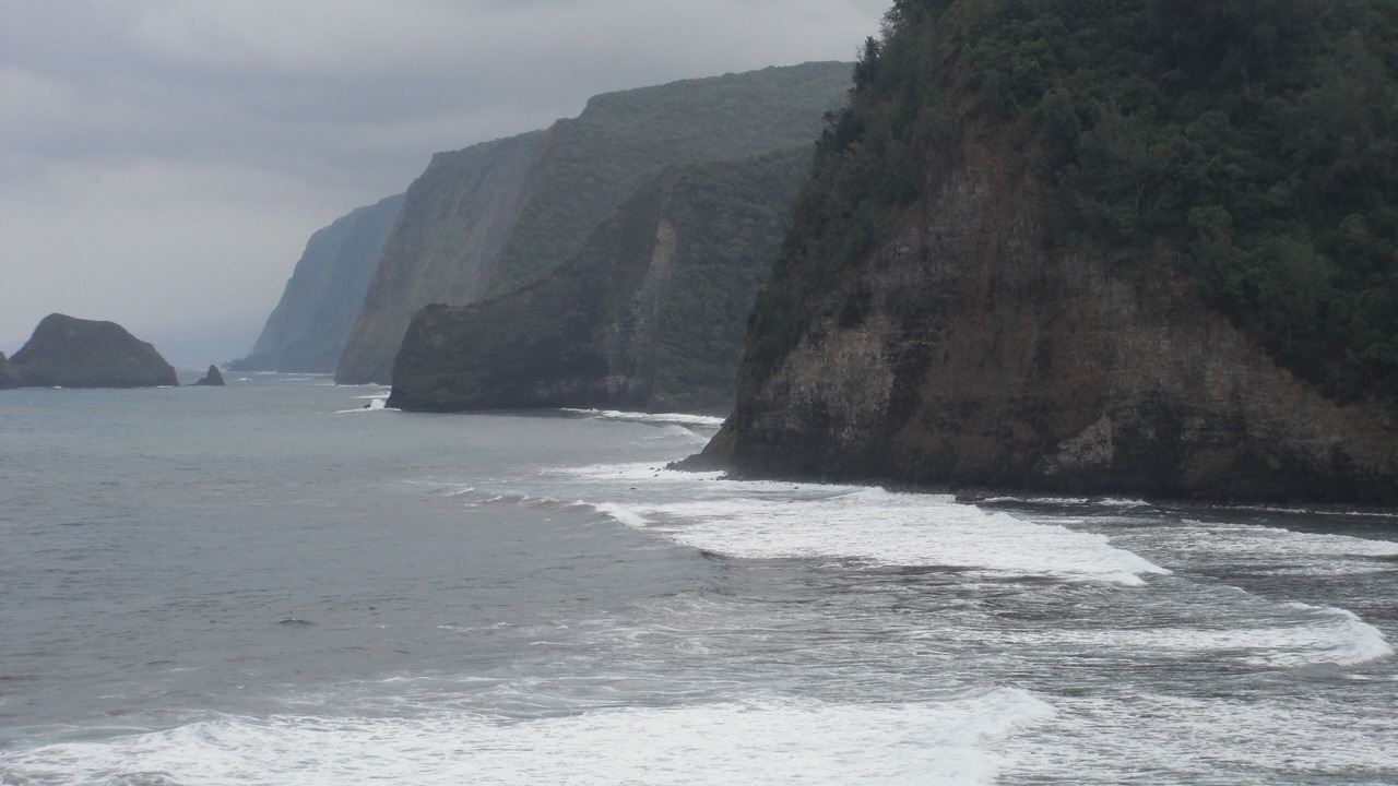 Photo of Others in Kahaluu Bay