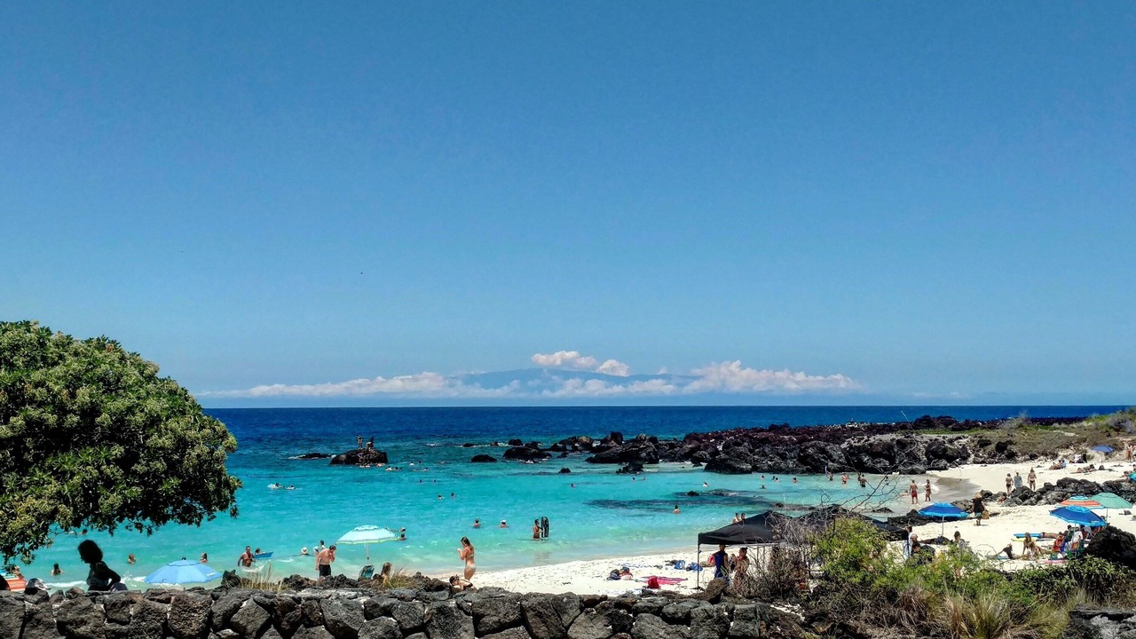 Photo of Others in Kahaluu Bay