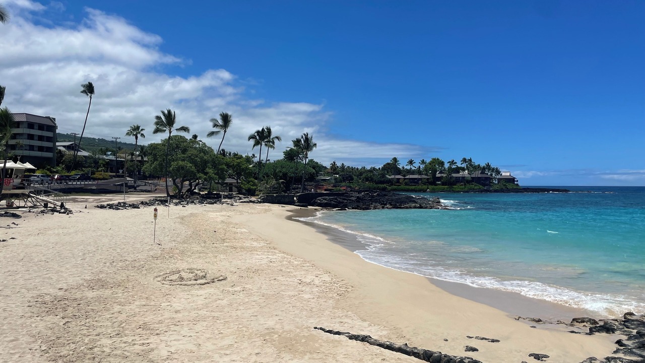 Photo of Others in Kahaluu Bay