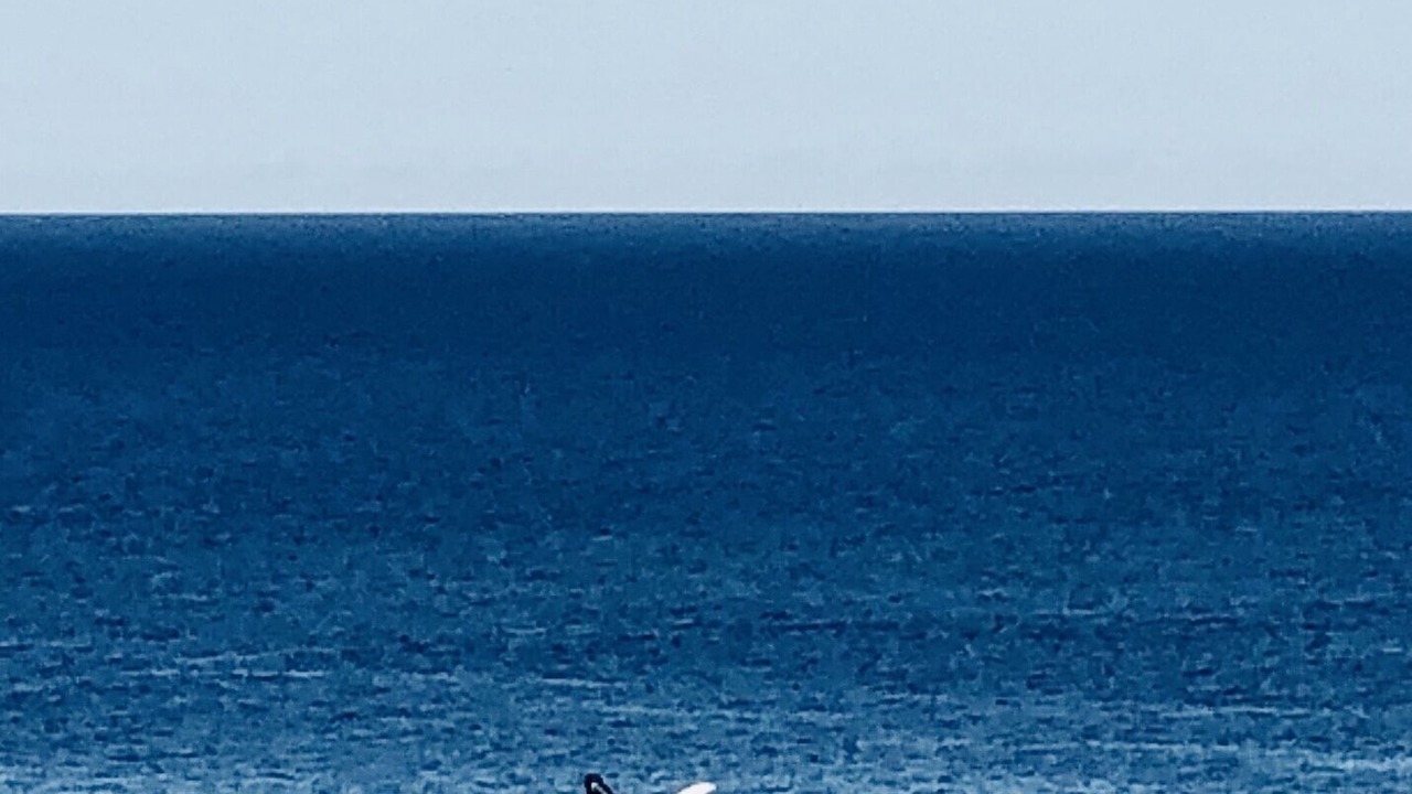 Photo of Others in Honokowai