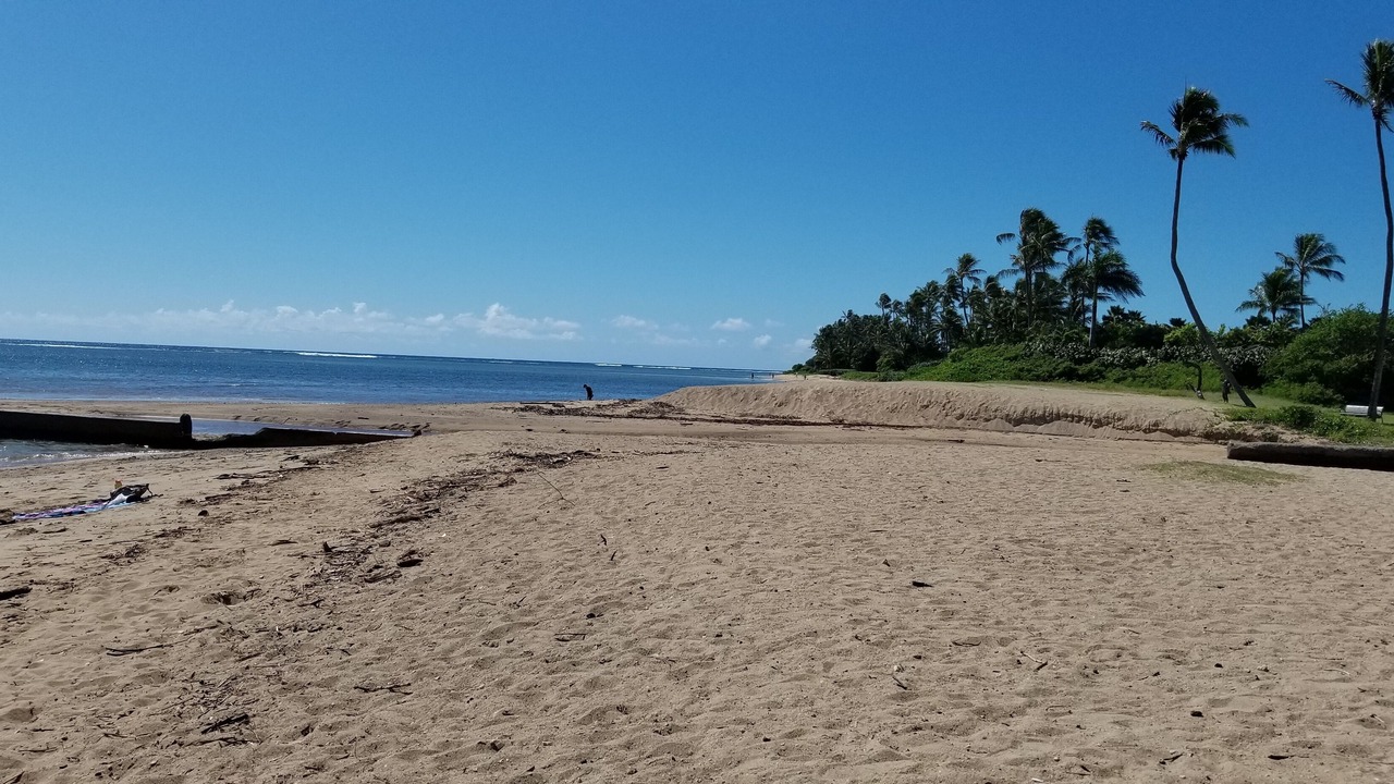 Photo of Others in Kahala