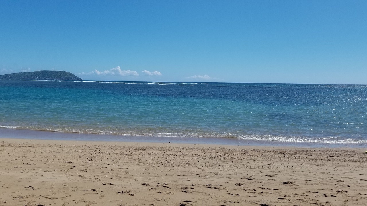 Photo of Others in Kahala
