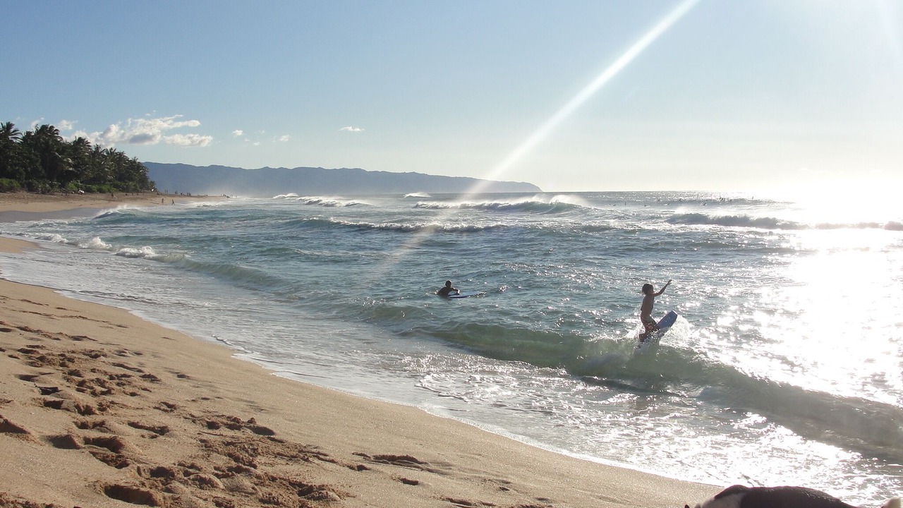 Photo of Others in Pupukea