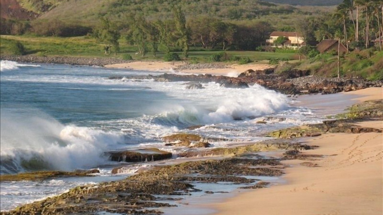Photo of Others in Maunaloa
