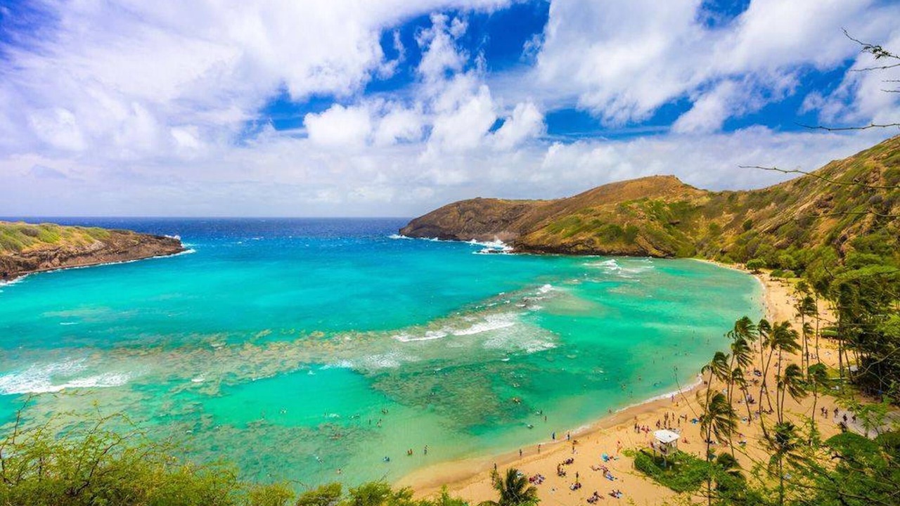 Photo of Others in Eastern Honolulu