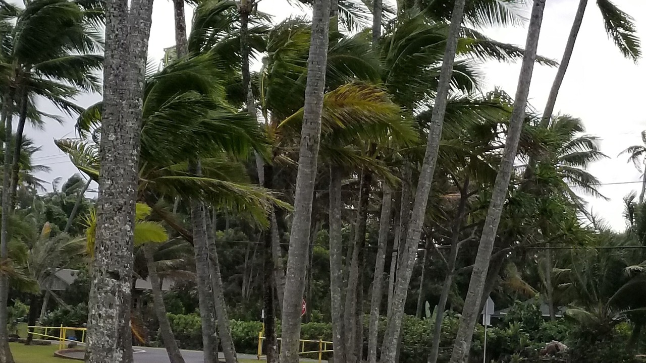 Photo of Others in Keaau