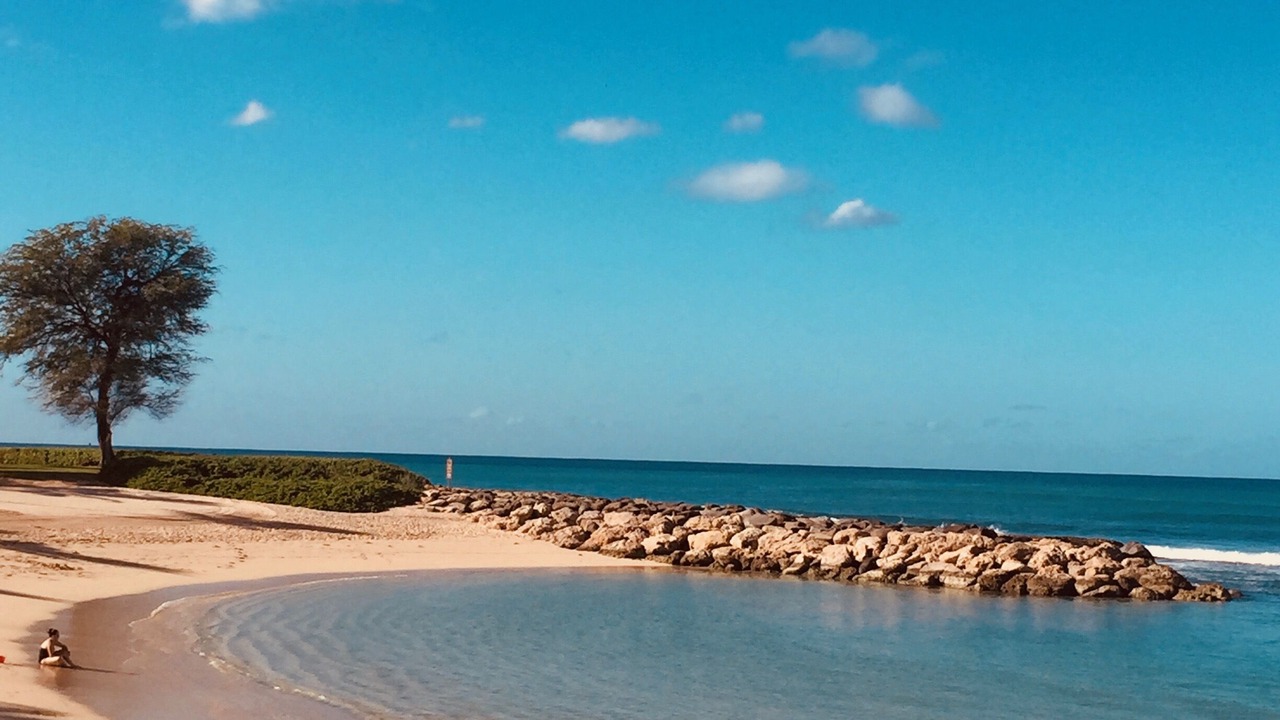 Photo of Others in Kapolei