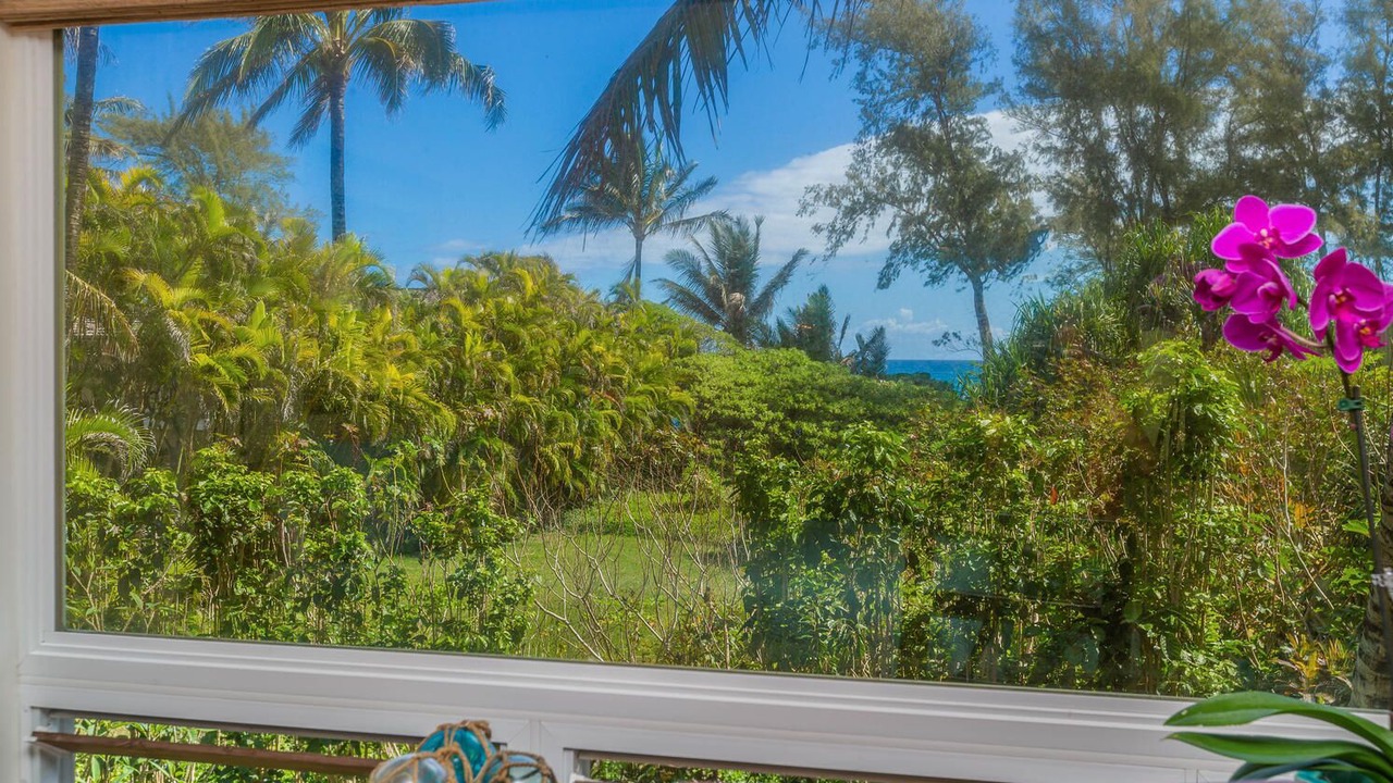 Photo of Others in Wainiha