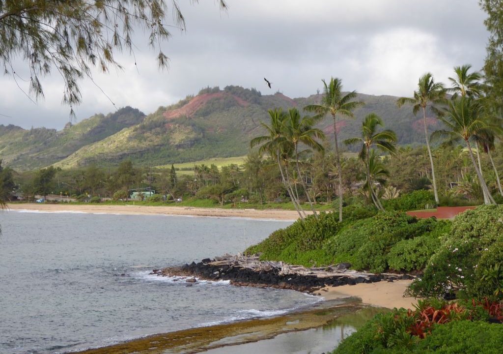 Photo of Others in Wailua
