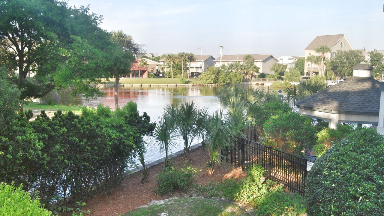 Photo of Outdoor in Surfside Beach