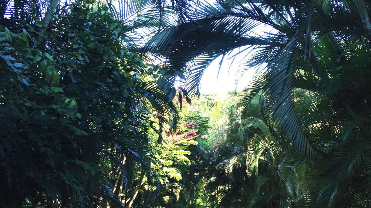Photo of Others in Pauwela